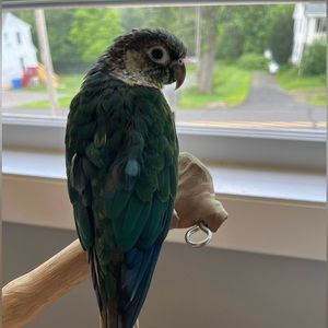 Meet your Posher, Jill